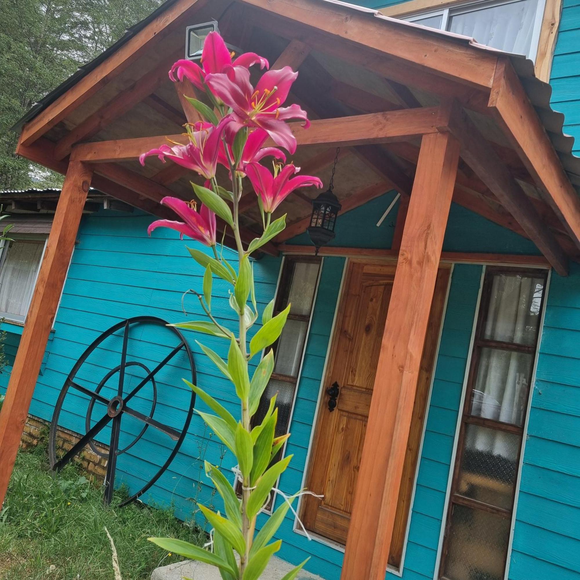Cabanas Jade Cochamo Zewnętrze zdjęcie